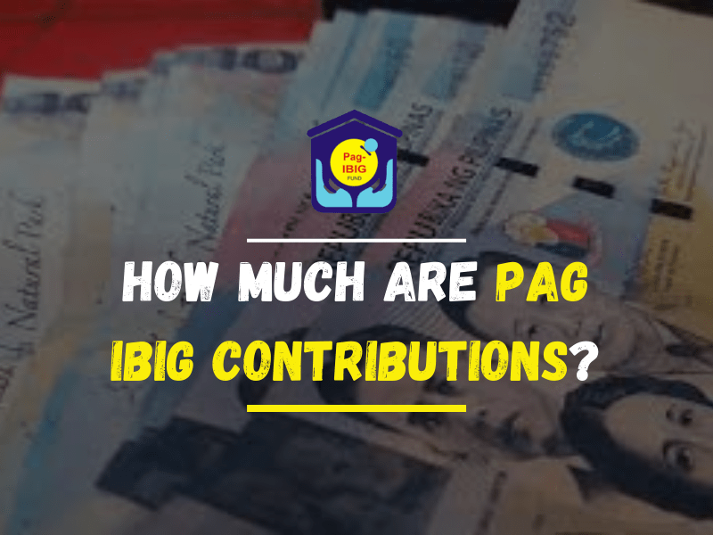 How Much Are PAG IBIG Contributions