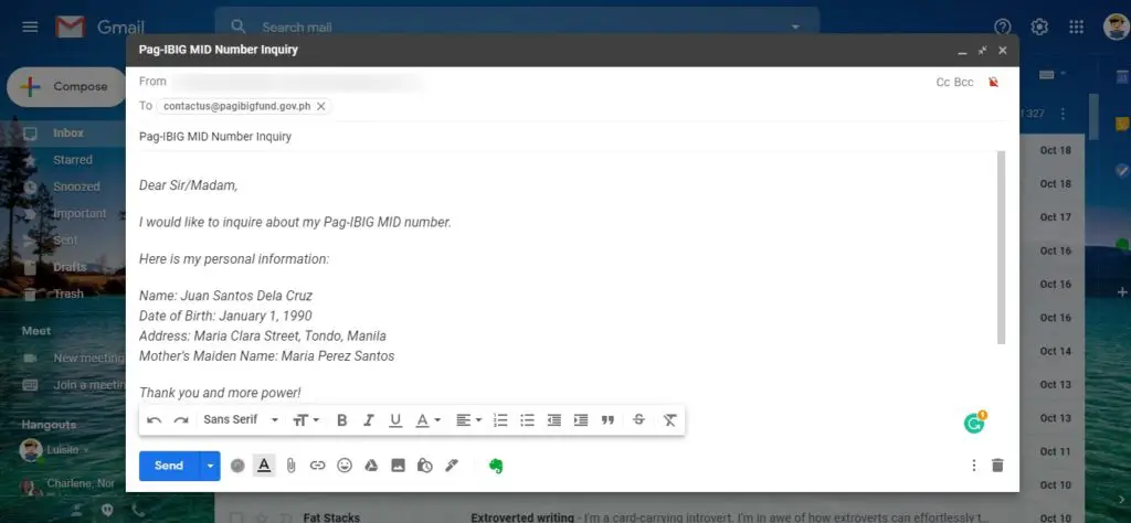 How to know the RTN of my PAG IBIG membership By writing an Email?
