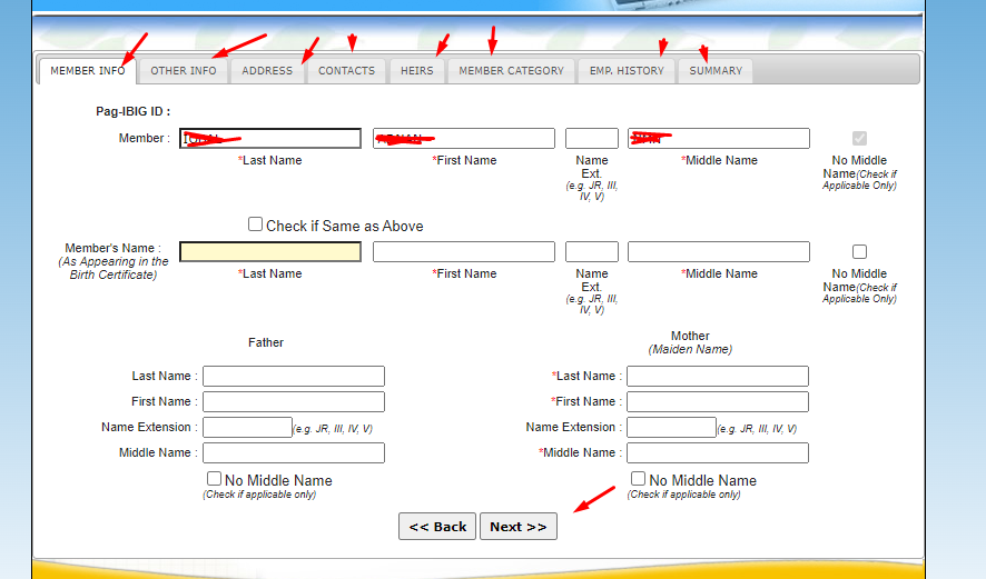 Fill all the form pag ibig