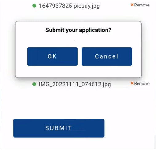 get Calamity Loan online from pag ibig